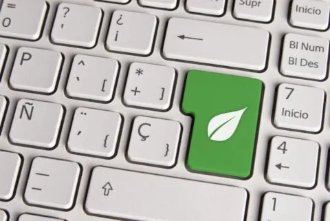 Green ecology concept leaf keyboard key