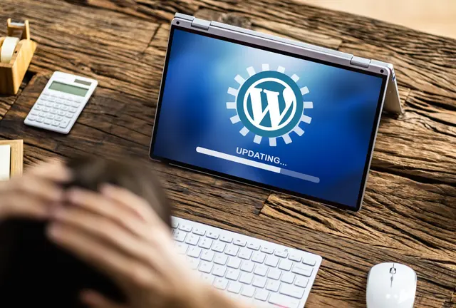 Why Automatic WordPress Updates Can Be Risky